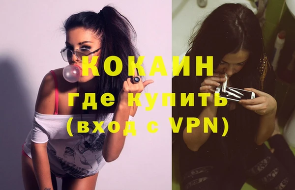 стафф Алзамай