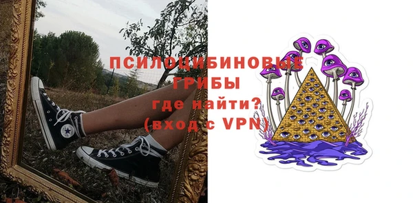 ALPHA-PVP Алексеевка
