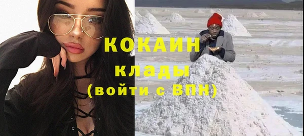 стафф Алзамай