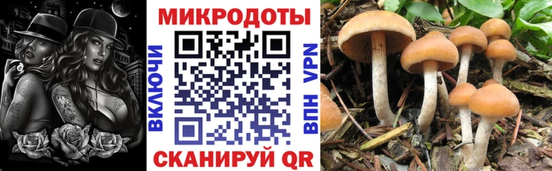 Псилоцибиновые грибы мухоморы  Буй 
